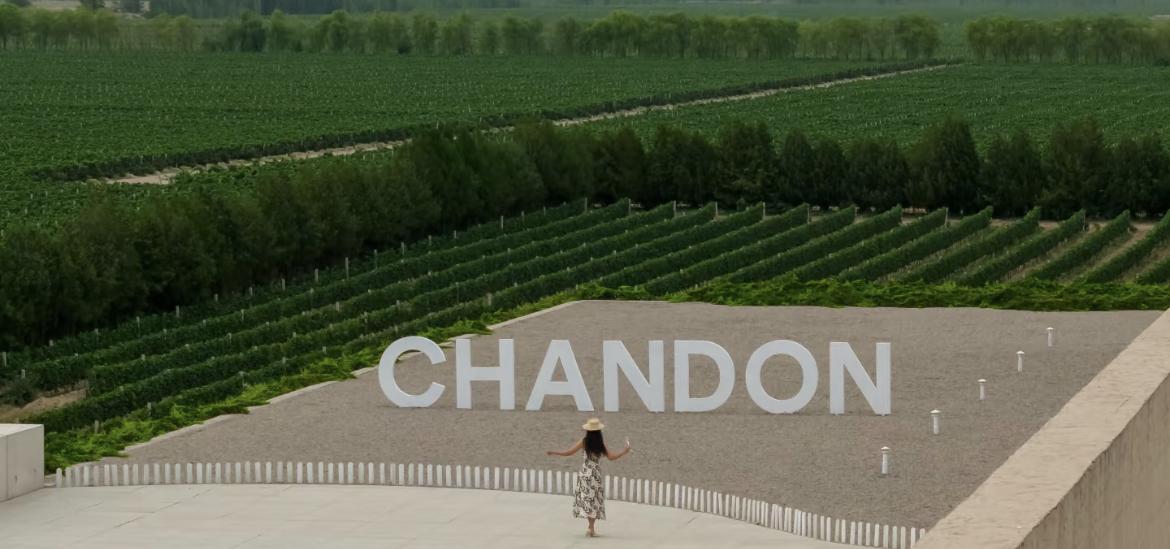 Ningxia 6 Tage: Wilde Luxusreise im Nordwesten - Photo 4